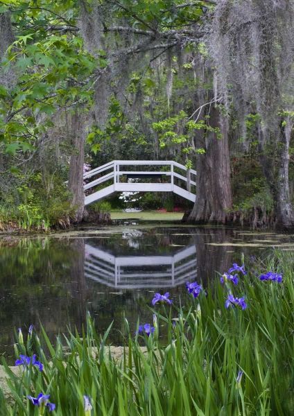 South Carolina, Wood footbridge reflects in pond